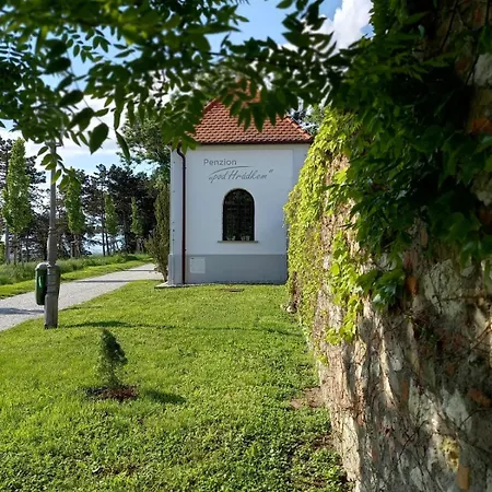 Penzion Pod hrádkem-3